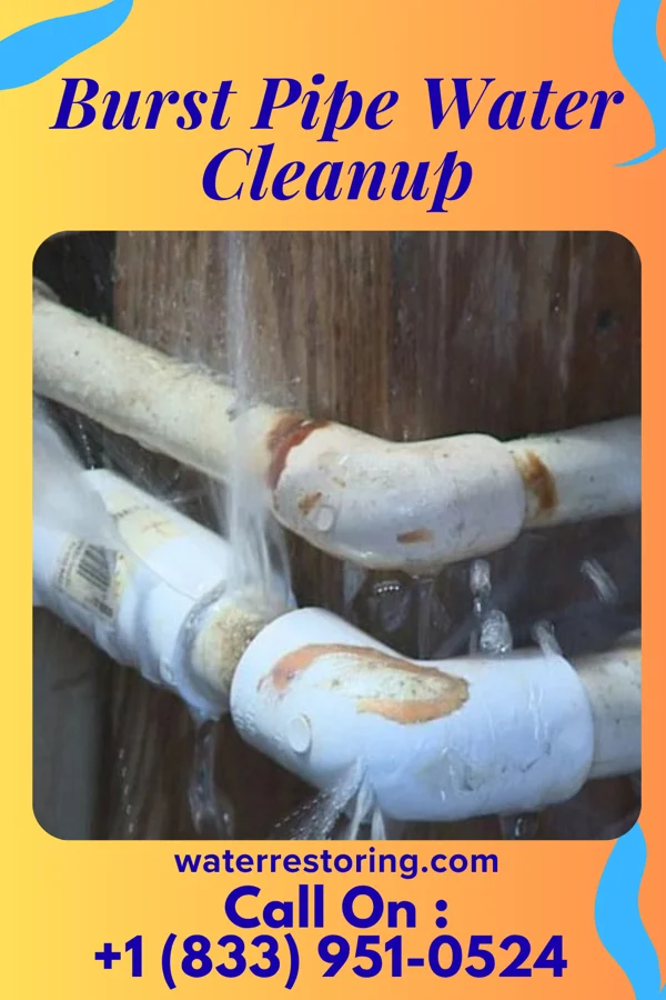 Burst Pipe Water Cleanup in Lake Sarasota, FL