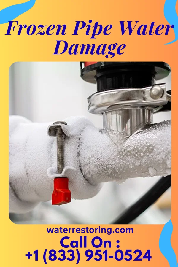 Frozen Pipe Water Damage in Lake Sarasota, FL