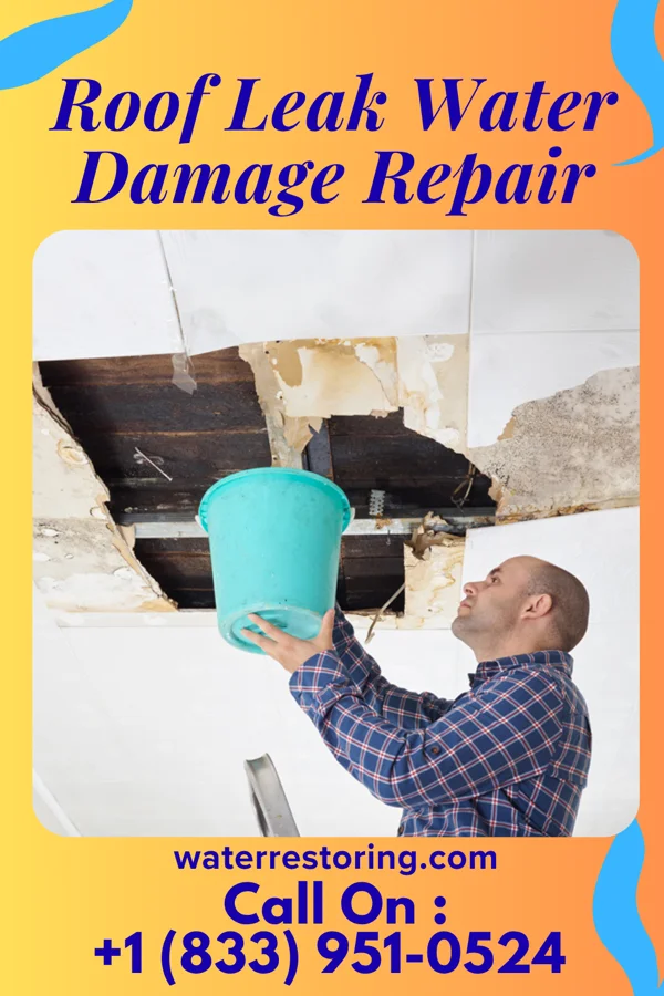 Roof Leak Water Damage Repair in Lake Sarasota, FL