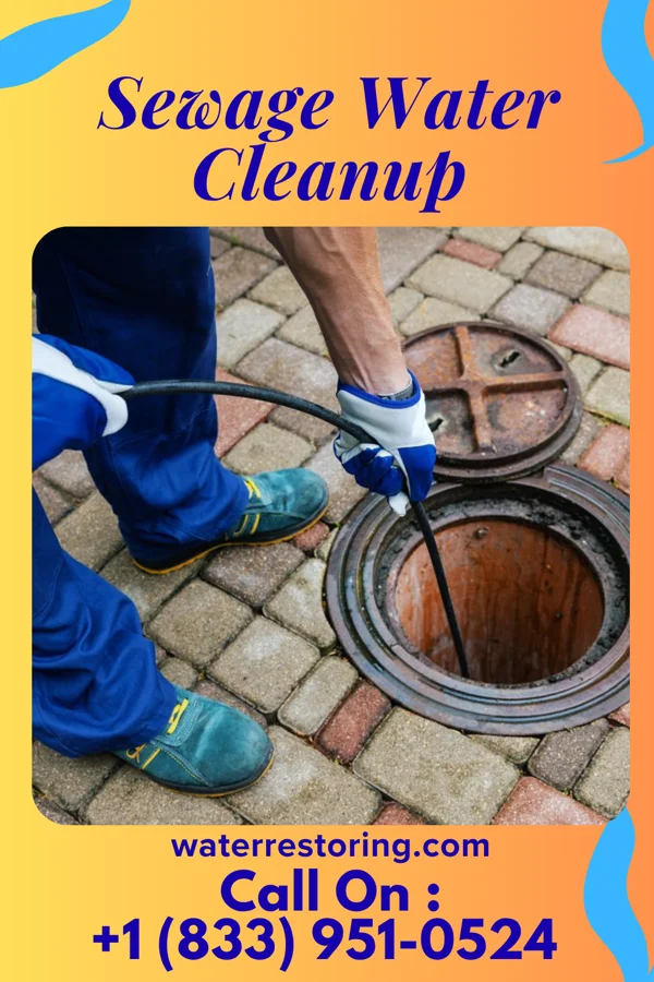 Sewage Water Cleanup in Lake Sarasota, FL